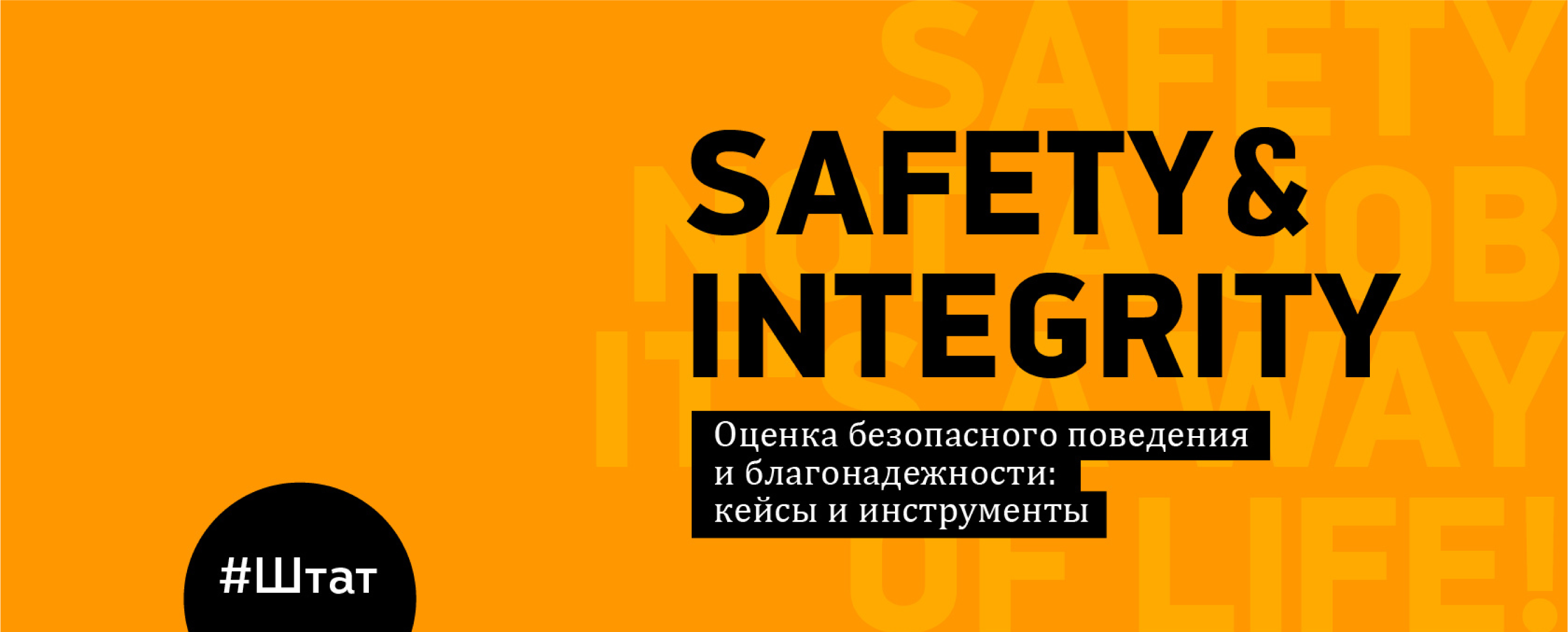 Safety and Integrity