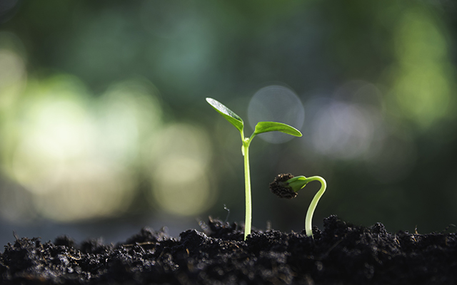 Развитие руководителей и сотрудников