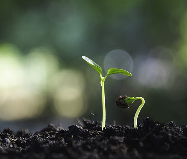 Развитие руководителей и сотрудников