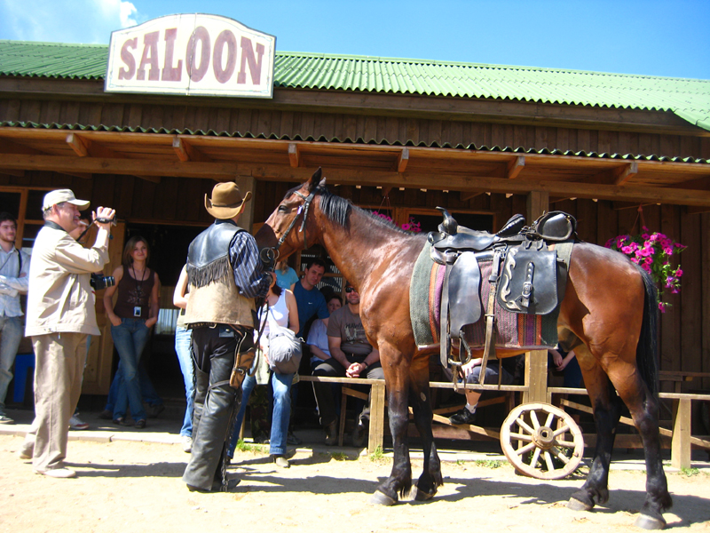 Летний корпоративный праздник - 2008 на конной базе "Аванпост"