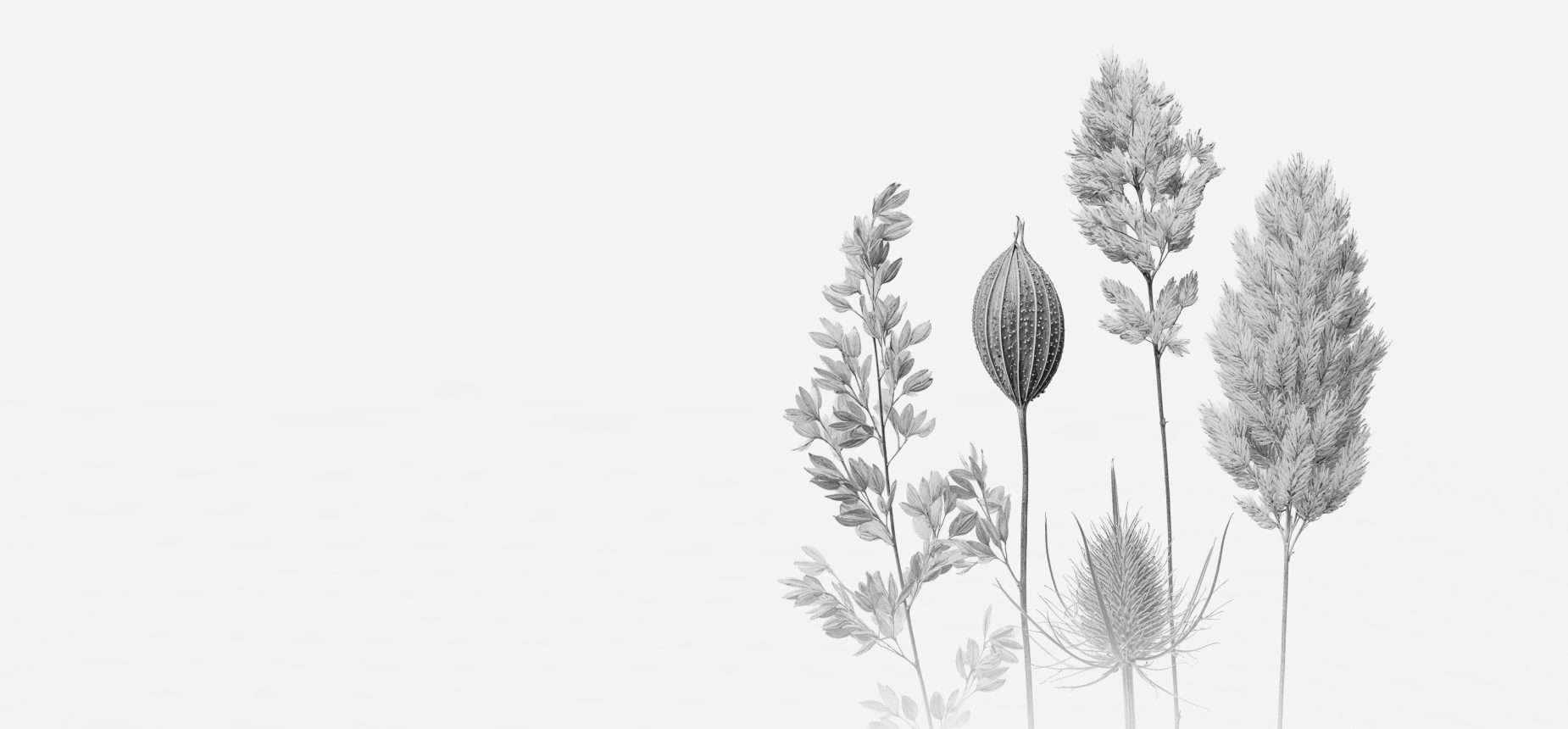 Гайд «Поведенческий автопилот»