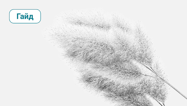 Гайд «Техники когнитивной саморегуляции»