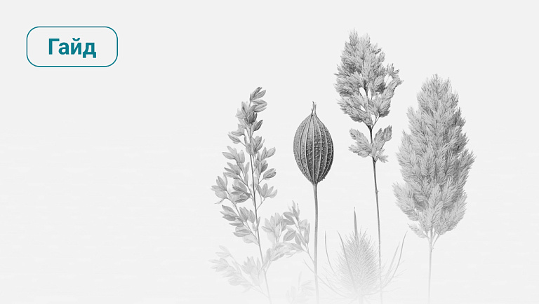 Гайд «Поведенческий автопилот»